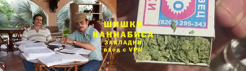 Конопля SATIVA & INDICA  Кола 